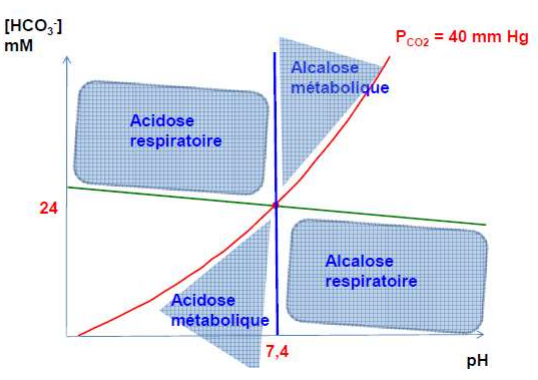 L1 - Equilibre acide base et pH